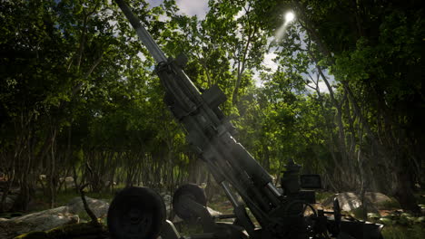 big gun cannon in the forest