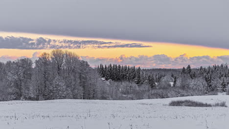 snowy nordic forest and landscape in winter season with clouds moving in sky