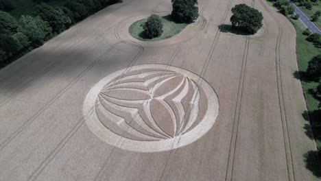 Warminster-crop-circle-2023-aerial-view-descending-towards-mysterious-overnight-alien-pattern-on-wheat-field-in-England