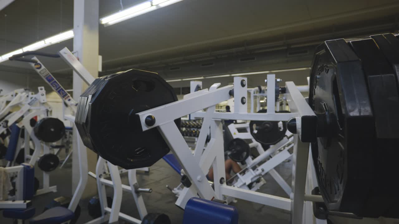 4k의 백 트레이닝 스포츠 장비에 웨이트 리프팅