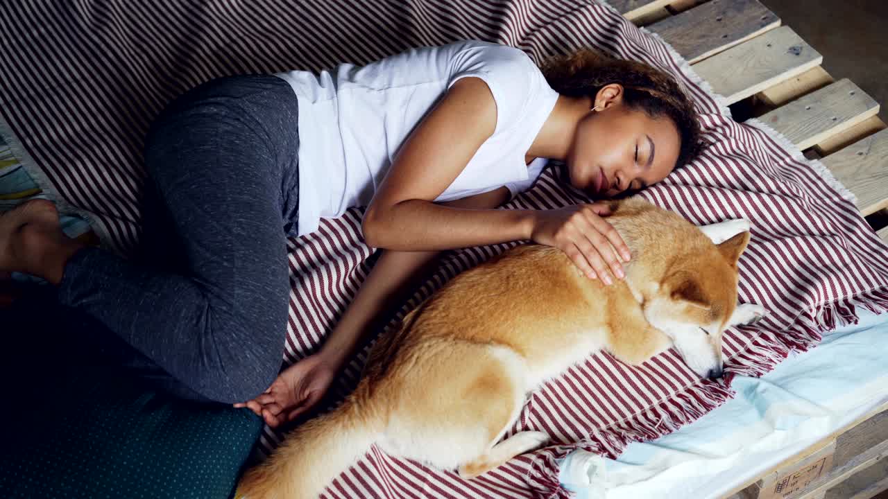 High angle view of pretty young woman in pajamas and her adorable puppy sleeping together on bed at home. Friendship, rest and furniture concept.