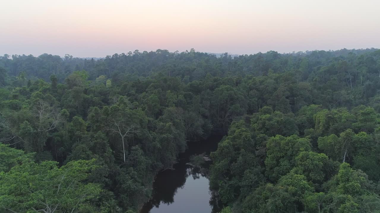 vista aérea de un exuberante bosque tropical con un río que fluye a través de él