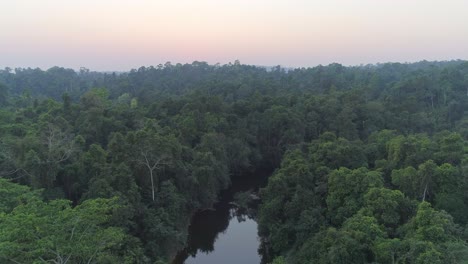 aerial view of a lush rainforest with a river flowing through it