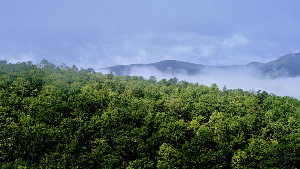 Drone shot moving gracefully through morning fog