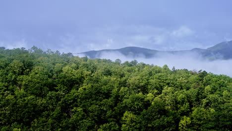 drone shot moving gracefully through morning fog