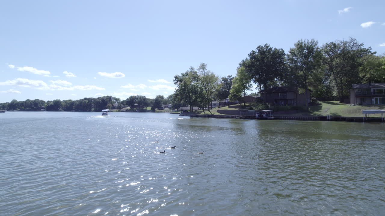 호수 에 있는 오리 들 위 를 날아다니는 것, 드론 으로 보는 것