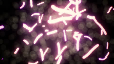 viendo el navirus bajo un microscopio digital