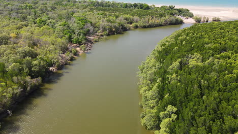 low drone footage of buffalo creek green bushland with river near lee point in darwin, northern territory