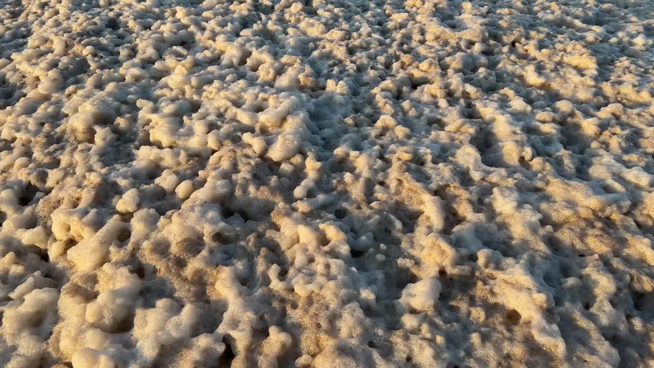 Sea foam mass blowing in the wind like something living