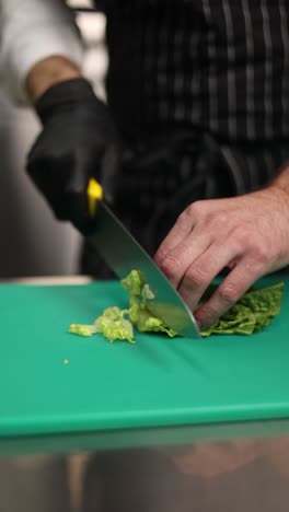 chef chopping lettuce