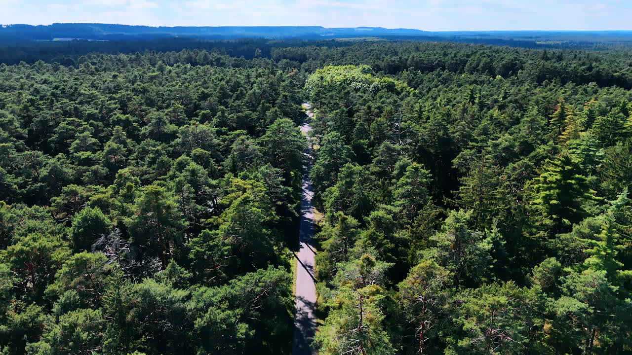 Straight forest road disappearing into the distance between tall green trees. Drone view of a long straight road stretching through a dense forest with deep green pine trees under daylight