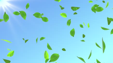 clean soft nature loop background animation. flying green leaves on blue sky sun rays.