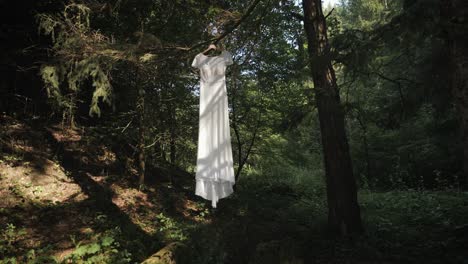 long, white wedding dress and a veil hanging on a tree in the summer - white wedding bride veil - zoom-in shot