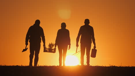 silhouette of people planting trees during sunset