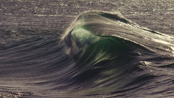Shallow wave crest flows gently rightward, low golden light reflecting across water skin