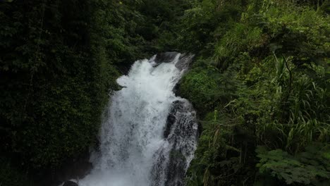 a small waterfall in the depths of jungle in the north of bali, indonesia