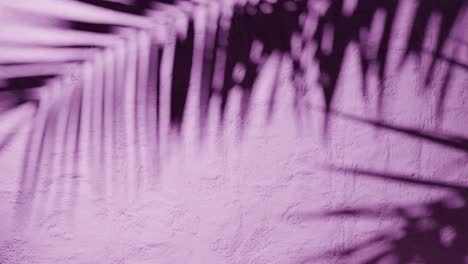 shadow of palm leaves on textured pink plaster wall with natural sunlight. tropical plant silhouette on stucco surface. design for wallpaper, banner, postcard, greeting card, poster, vertical