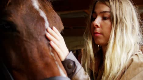 mujer acariciando a un caballo en el establo 4k