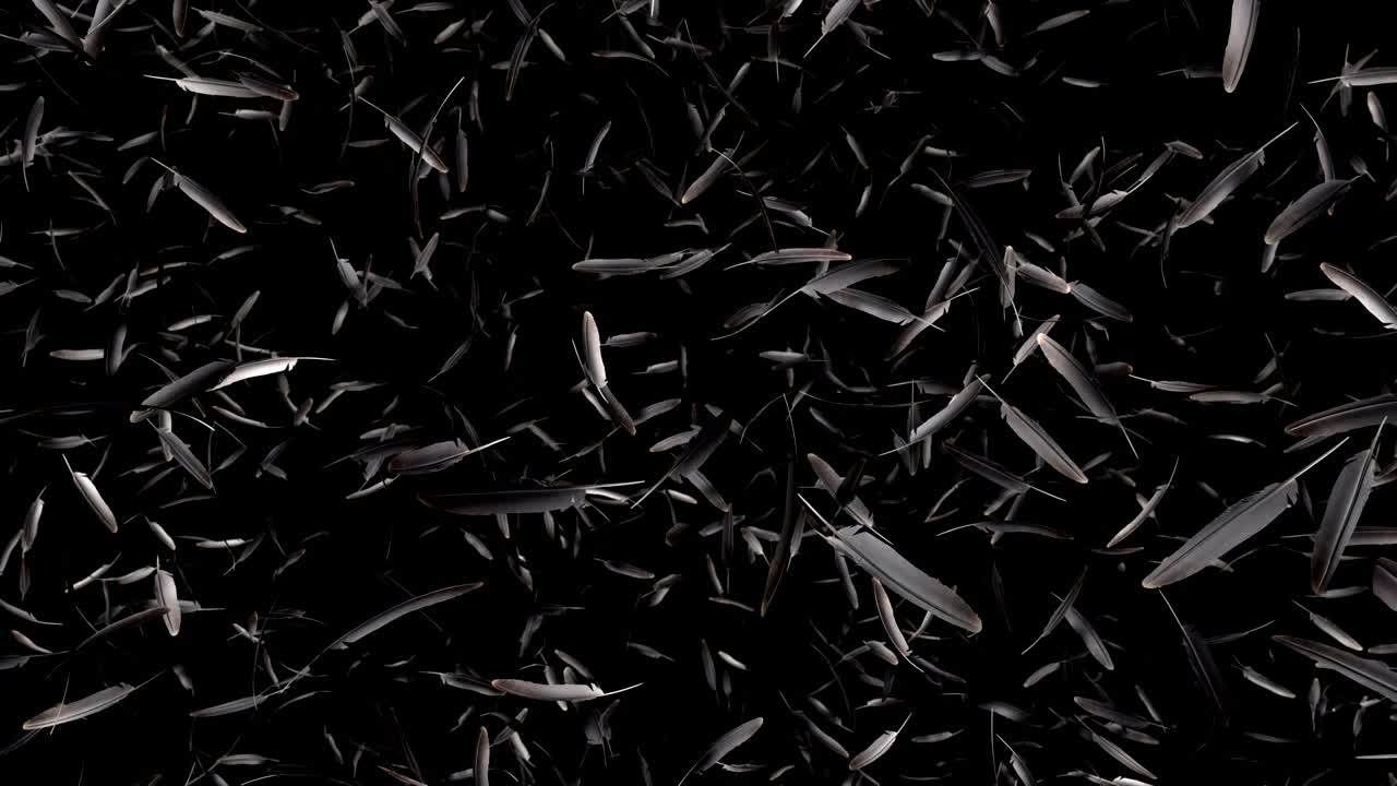 알파 채널과 함께 떨어지는 털