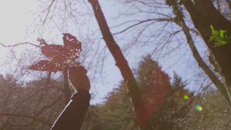 A-hand-holds-up-a-leaf-in-a-forest