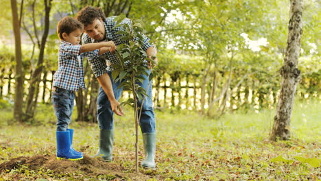 Closeup.-Portrait-of-a-little-boy-and-his-dad-planting-a-tree.-Dad-come-up-to-his-son-and-explains-something.-They-touch-the-leaves.-Blurred-background