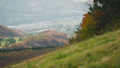 lush meadow hills with autumnal trees at background on zao mountains in japan