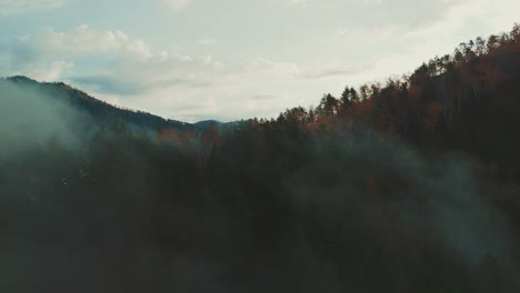 misty mountain forest landscape
