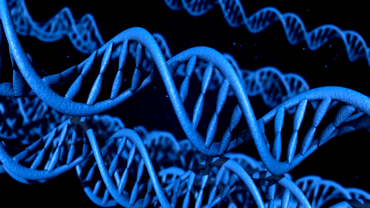 código de adn. abstracto 3d marco de alambre poligonal dna molécula hélice en espiral. animación en bucle.