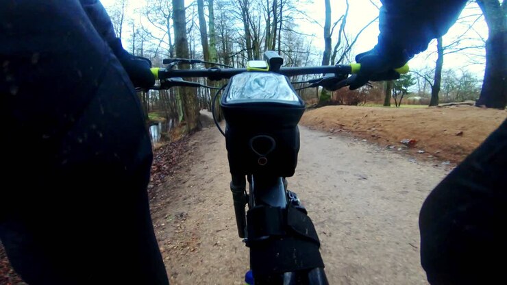 Unique seat-level cycling perspective shows motion through misty leafless forest