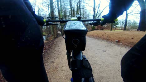 unique seat-level cycling perspective shows motion through misty leafless forest