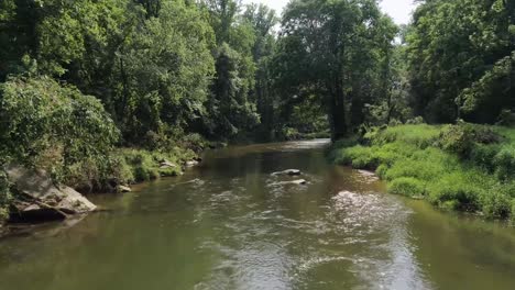 Nada-Dice-Más-Verano-Que-Una-Hermosa-Foto-De-Un-Arroyo-Rodeado-Más-Que-De-Bosque