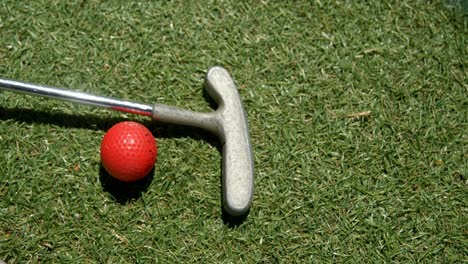 Putter-De-Golf-Y-Pelota-De-Golf-En-El-Jardín-4k