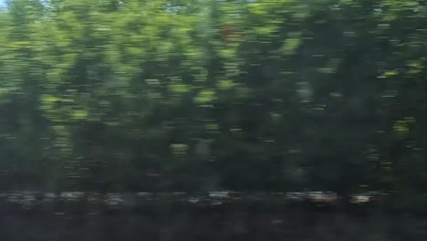 experience vibrant green landscapes and open fields as seen from a moving train on a sunny day.