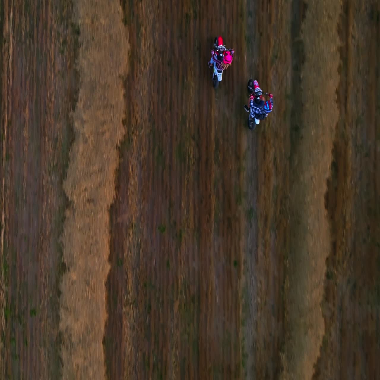 Motorbikes racing in the vast agricultural field. Young happy people ride motorcycles in agricultural plantation. View from top