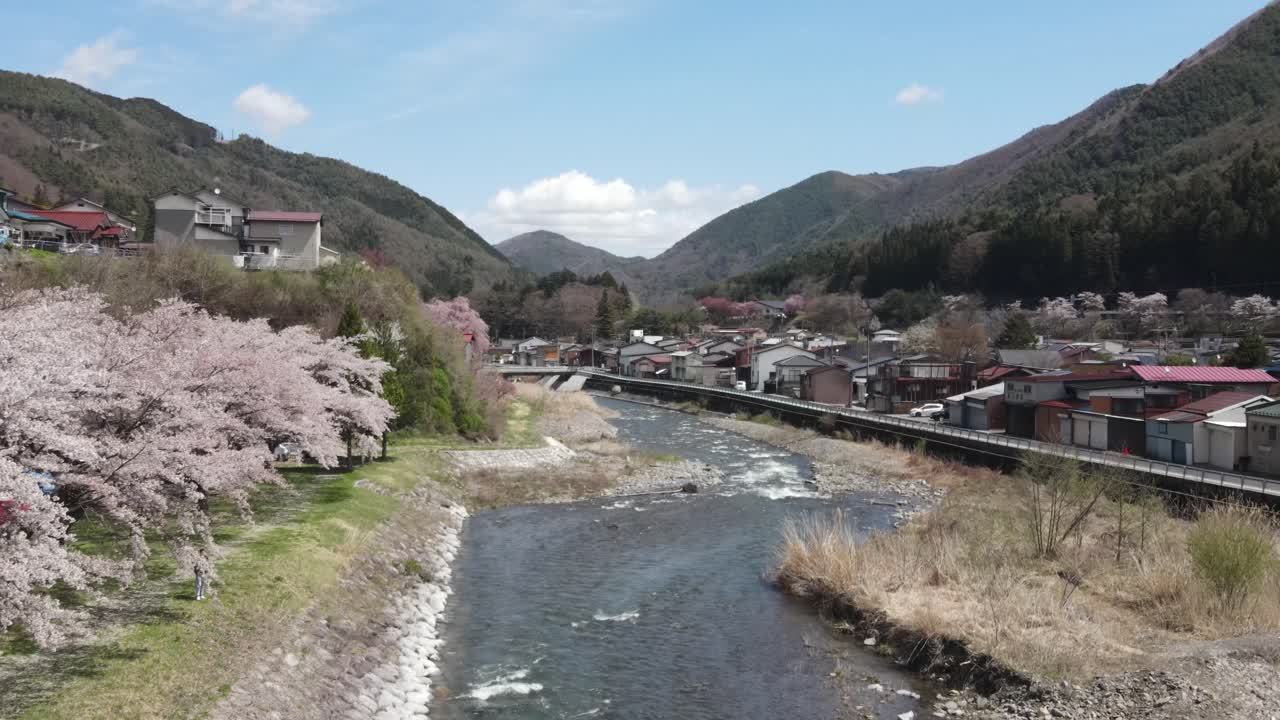 Aerial Flying Past Cherry Blossom Trees In Kiso-Hirasawa Town Over Narai River. Dolly Forward