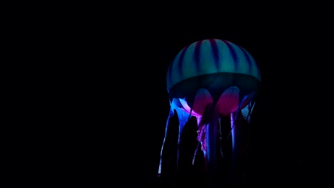 blue jellyfish balloon illuminated at night during a parade