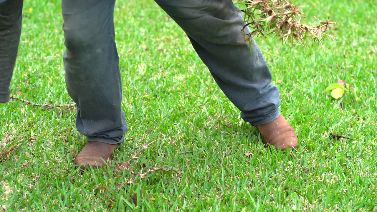 라틴인 남자가 잔디에서 잡초를 꺼내고 있다