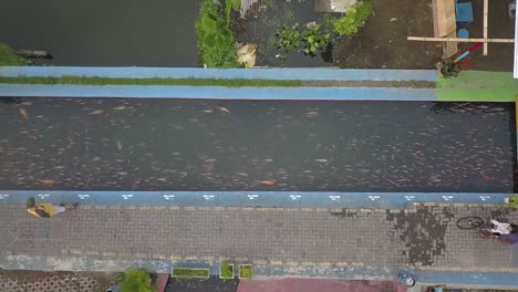 Vista-Aérea,-El-Flujo-Del-Río-De-Tugurios-Se-Vuelve-Limpio-Y-Hay-Peces-En-La-Presa-De-Lepen