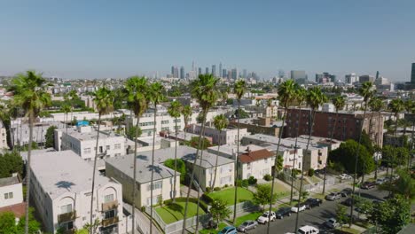 aerial drone shot over tree-lined los angeles streets, apartment rooftops below and downtown la skyscrapers ahead