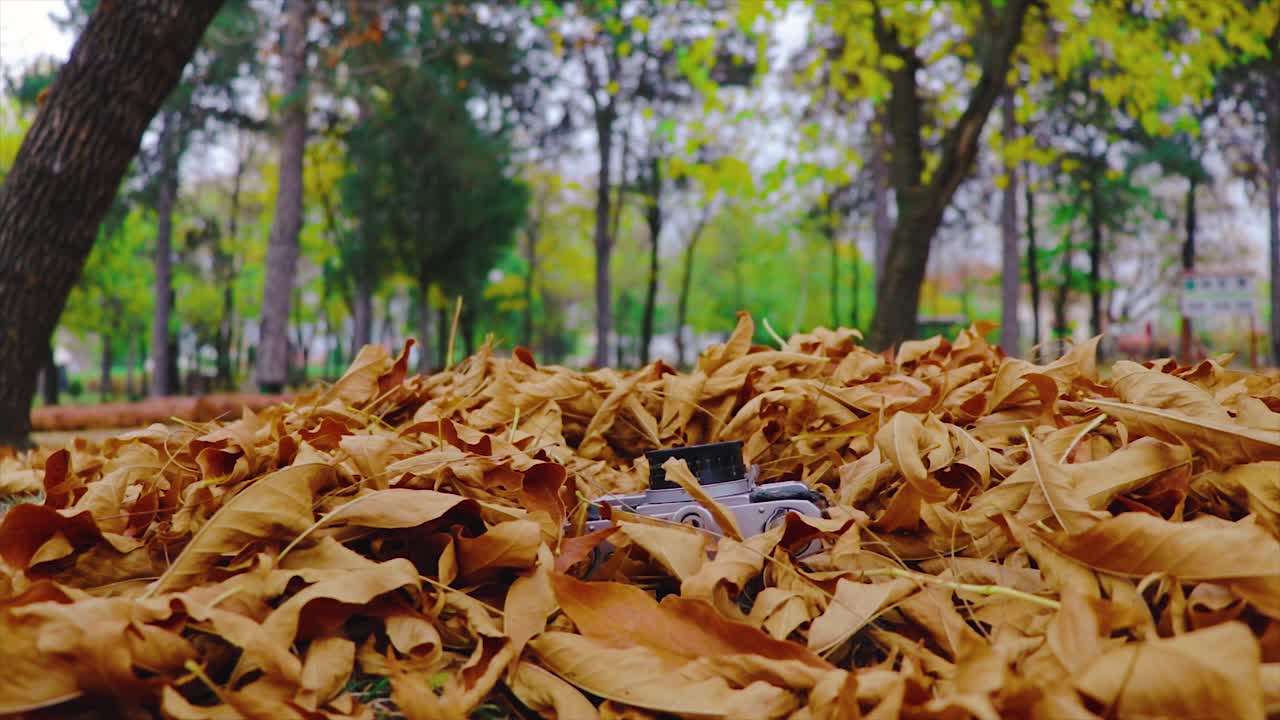 Photo camera falling on pile of brown leaves in a park in autumn. Outdated old technology concept.