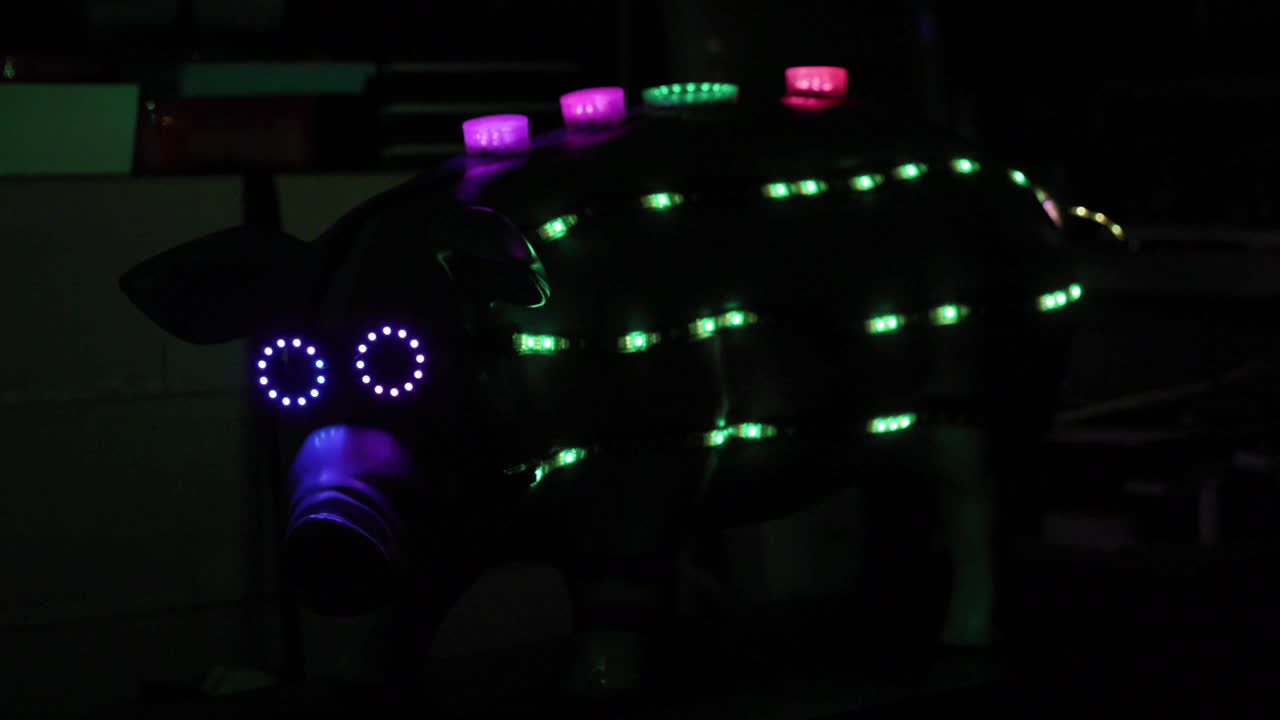 Focus Shift on a pig with blinking lights