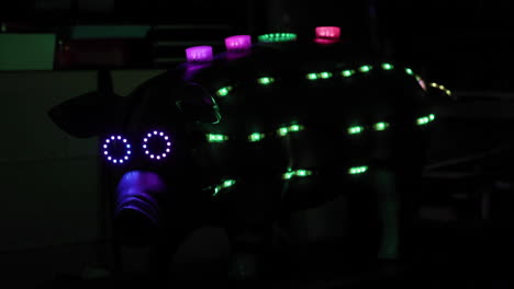 focus shift on a pig with blinking lights