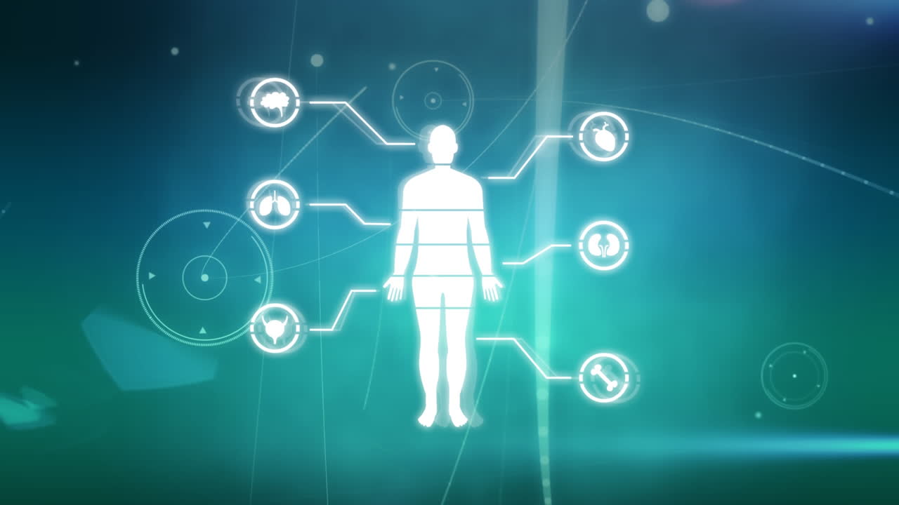 인간의 오르가즘에 대한 연구