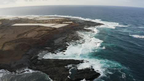 coastal scenery at punta del hidalgo during the golden hour, tenerife
