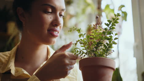 woman examining a houseplant