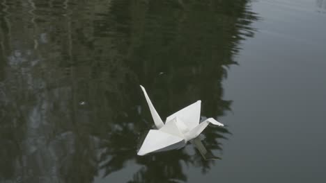 putting origami swan to water surface, closeup of hand