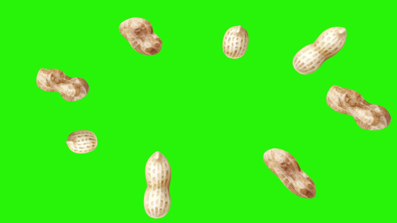 Peanuts animation group on green screen chroma key, graphic source elements