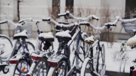 snow falling over group of city bikes parked at bicycle rack in winter