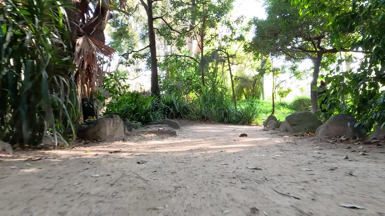 울창한 초록색으로 둘러싸인 조용한 정원 길