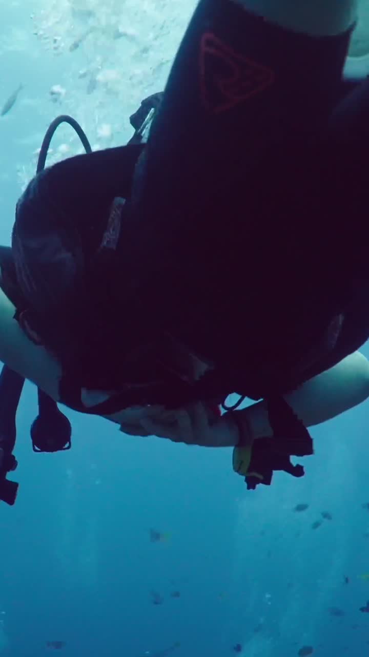 buceo en un arrecife de coral